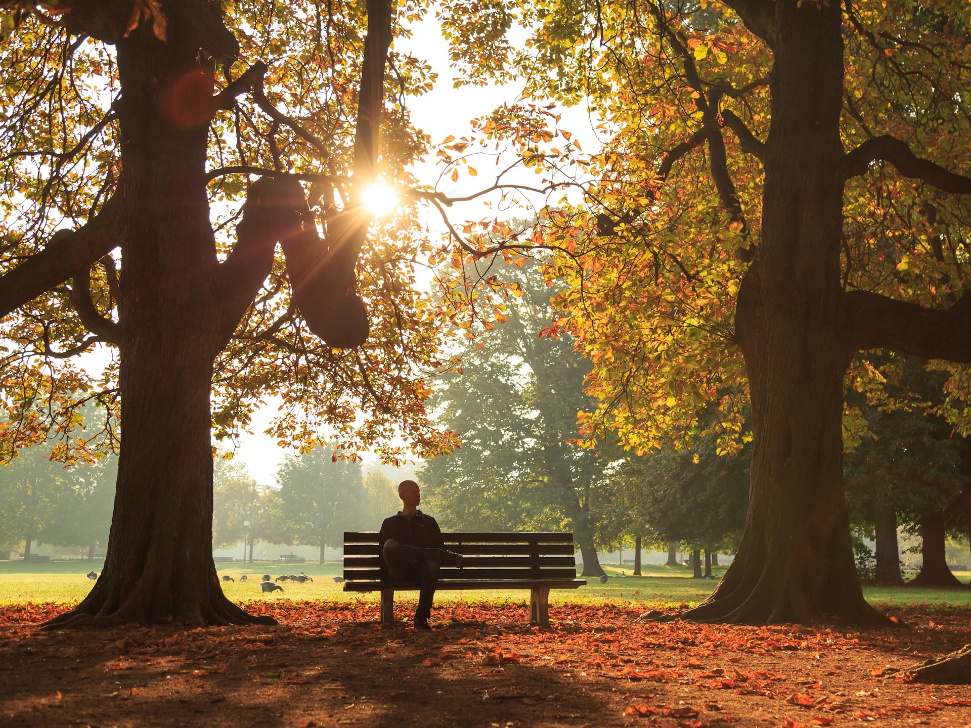 a man sitting on a sunlit bench in a park